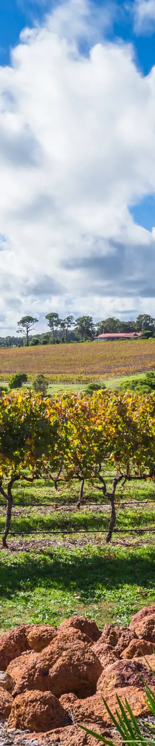 Erlebe Surfen und Wein in Margaret River